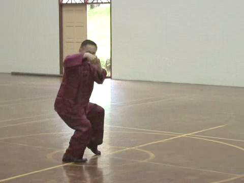 Shaolin-Taijiquan in Sabah 2011