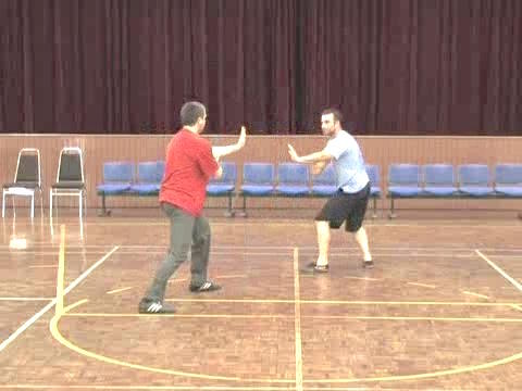 Wudang Taijiquan