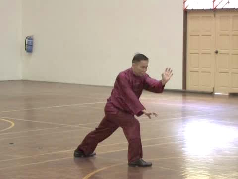 Shaolin-Taijiquan in Sabah 2011