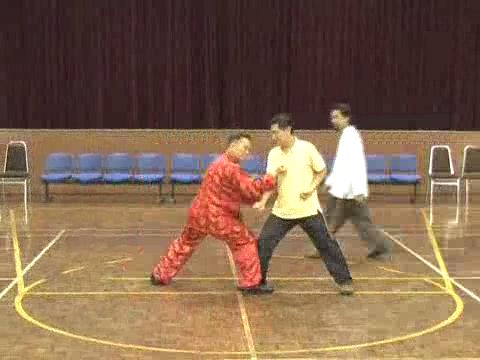 Shaolin-Taijiquan in Sabah 2011