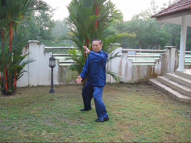 Wudang Taijiquan, Tai Chi Chuan