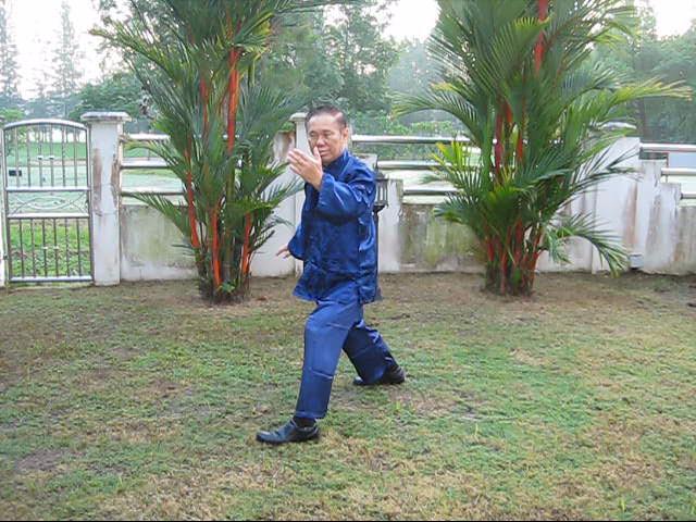 Wudang Taijiquan