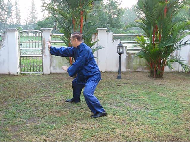 Wahnam Taijiquan