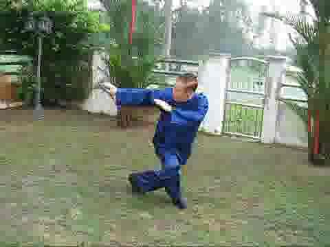 Wudang Taijiquan