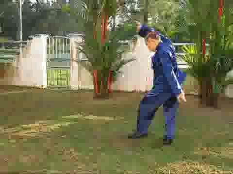 Wudang Taijiquan