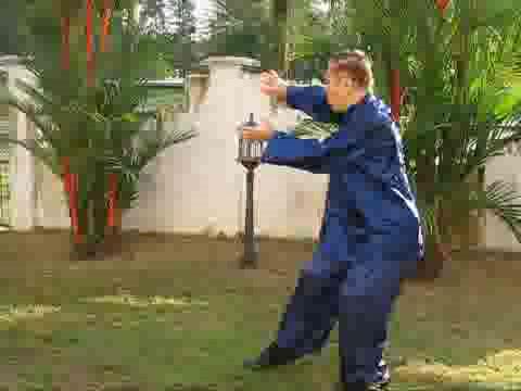 Wudang Taijiquan