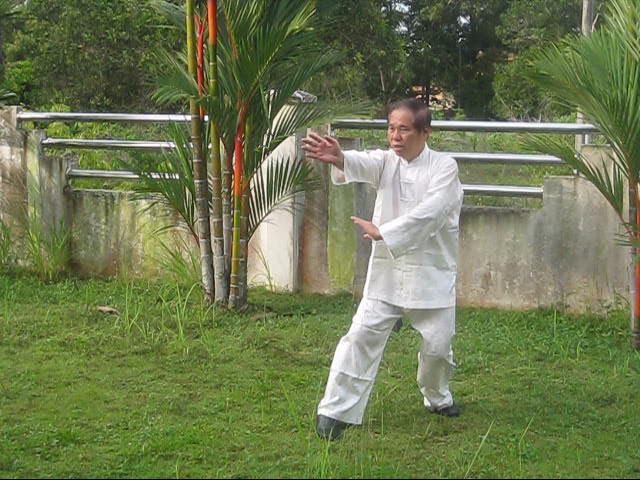 64 Palms of Baguazhang