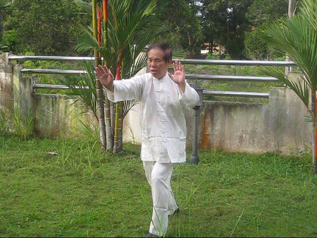 64 Palms of Baguazhang