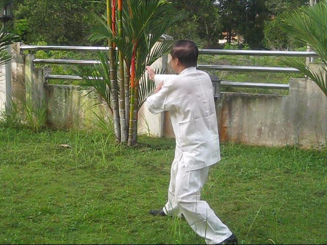 64 Palms of Baguazhang