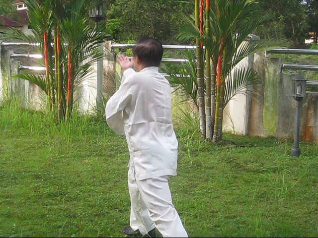 64 Palms of Baguazhang