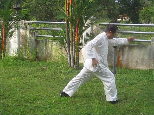 64 Palms of Baguazhang