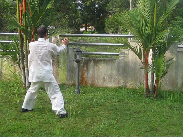 64 Palms of Baguazhang