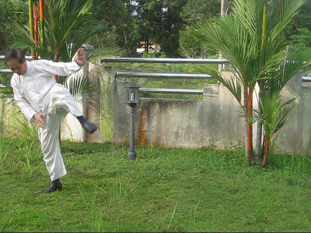 64 Palms of Baguazhang