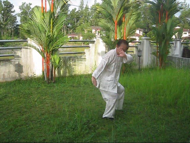 64 Palms of Baguazhang