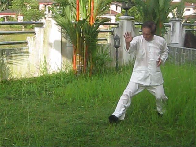 64 Palms of Baguazhang