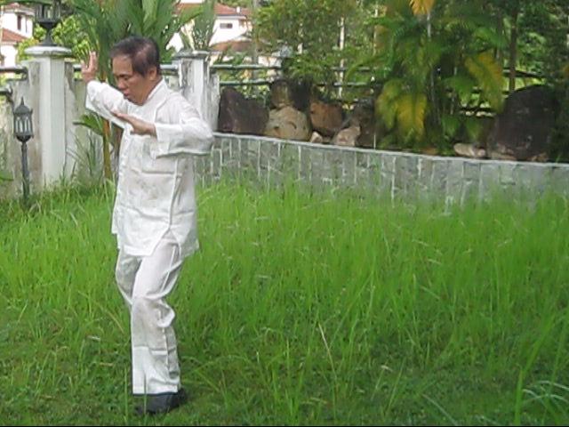 64 Palms of Baguazhang