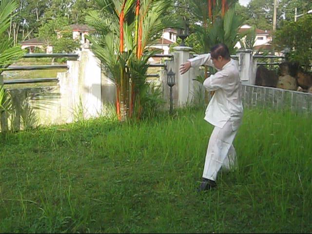 64 Palms of Baguazhang