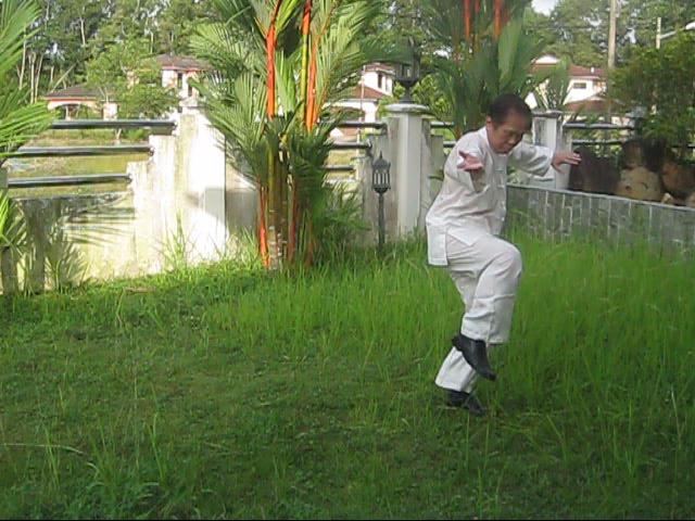 64 Palms of Baguazhang