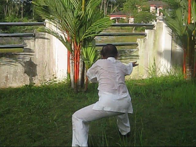 64 Palms of Baguazhang