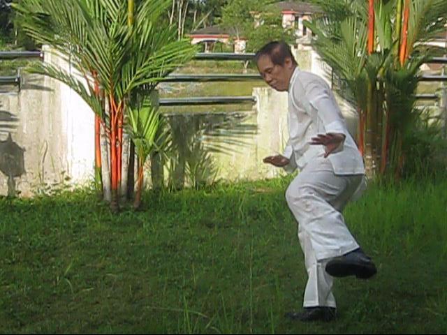 64 Palms of Baguazhang