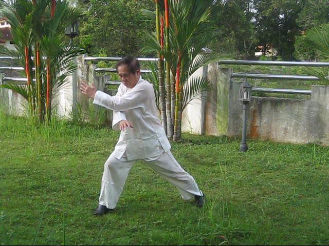 64 Palms of Baguazhang