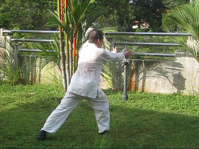 64 Palms of Baguazhang