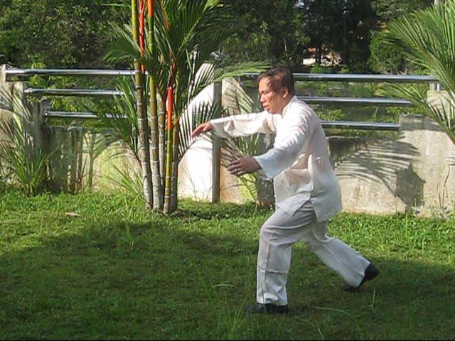 64 Palms of Baguazhang