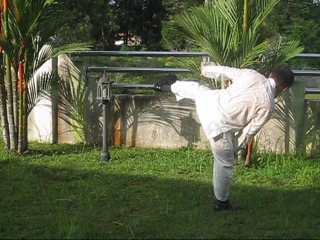 64 Palms of Baguazhang