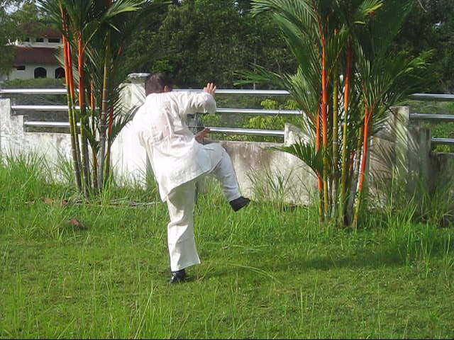 64 Palms of Baguazhang