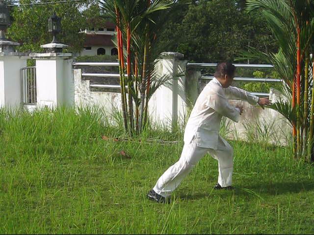 64 Palms of Baguazhang