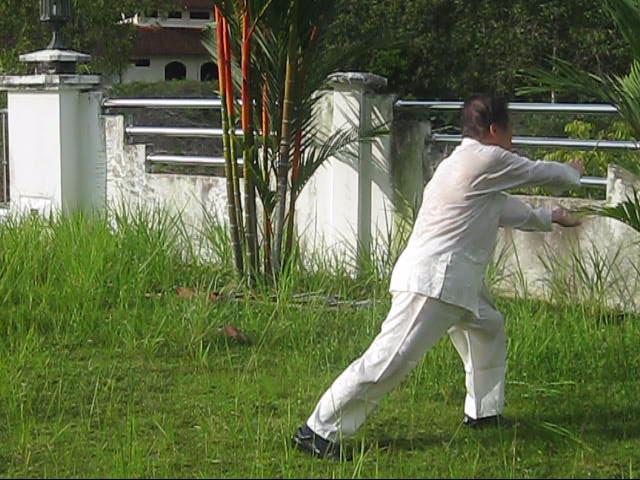 64 Palms of Baguazhang