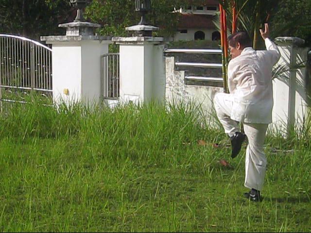 64 Palms of Baguazhang