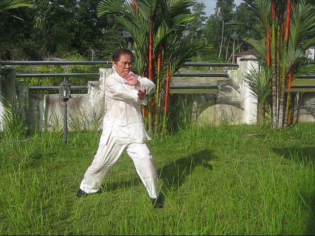 64 Palms of Baguazhang