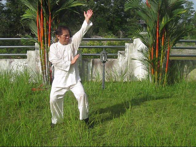 64 Palms of Baguazhang