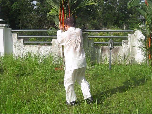 64 Palms of Baguazhang