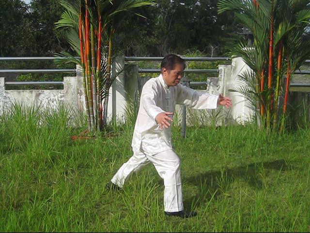 64 Palms of Baguazhang