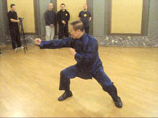 Choy-Li-Fatt Kungfu, Choy Lei Fut