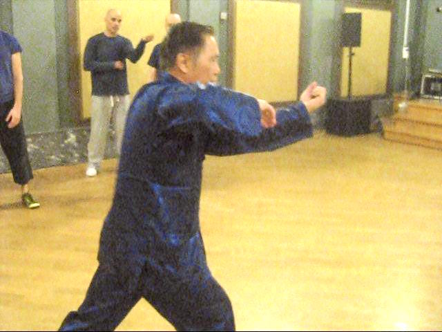 Choy-Li-Fatt Kungfu, Choy Lei Fut