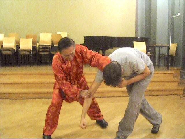 Choy-Li-Fatt Kungfu, Choy Lei Fut