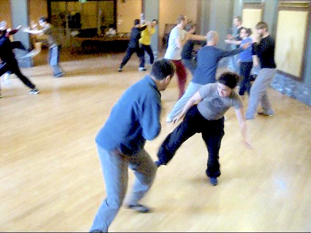 Shaolin Tai Chi Chuan