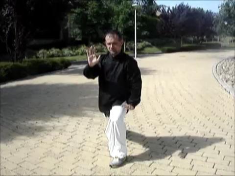 24-Pattern Taijiquan Set