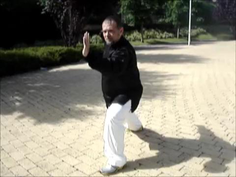 24-Pattern Taijiquan Set