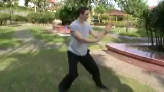 24-Pattern Taijiquan