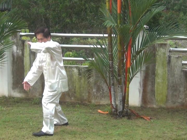 Yang Style Taijiquan, Tai Chi Chuan