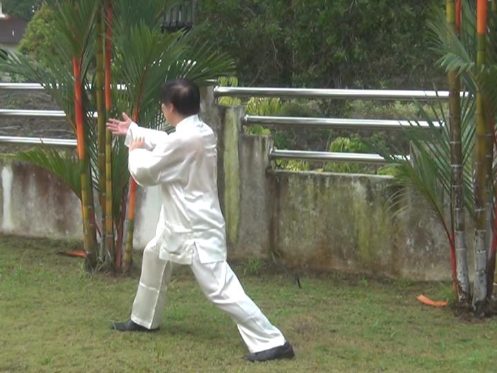 Yang Style Taijiquan, Tai Chi Chuan