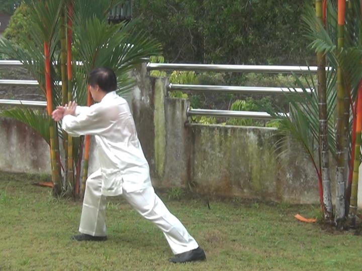 Yang Style Taijiquan, Tai Chi Chuan