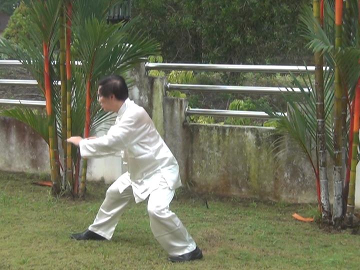 Yang Style Taijiquan, Tai Chi Chuan