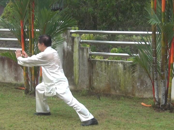 Yang Style Taijiquan, Tai Chi Chuan