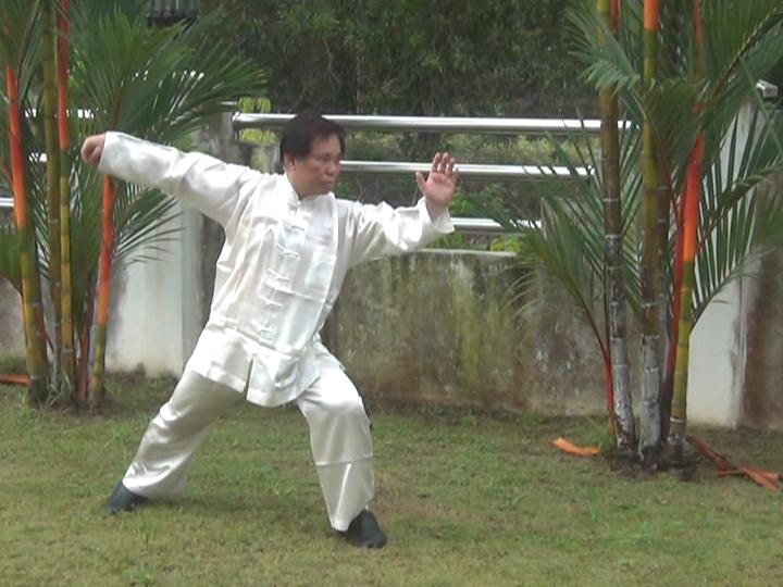 Taijiquan, Tai Chi Chuan