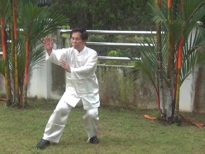 Yang Style Taijiquan, Tai Chi Chuan